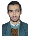 soroush safarzadeh