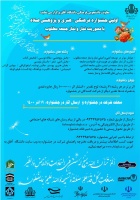 جشنواره صلاه برگزار می گردد + پوستر مسابقه