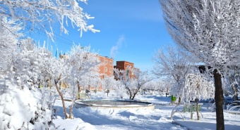 روز برفی دانشگاه صنعتی قوچان - یکشنبه ۲۸ دیماه ۱۴۰۴